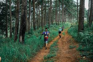 BIB: 
                            <button type="button" onclick="openModal(25659914)" class="btn btn-primary btn-sm float-right btn-popup" data-toggle="modal" data-target=".modal-high-quality">
                        <i class="fas fa-shopping-cart"></i> Add to Cart
                    </button>
                                            <button type="button" onclick="isThisMe(25659914, true)" class="btn btn-success btn-sm float-right btn-popup btn-isme hidden" data-toggle="tooltip" data-placement="bottom" title="นี่คือรูปของคุณใช่ไหม คลิกที่นี่เพื่อเอาเข้าอัลบั้ม">
                        <i class="fas fa-plus"></i> Add to album
                    </button>
                    <button type="button" onclick="isThisMe(25659914, false)" class="btn btn-warning btn-sm float-right btn-popup btn-isnotme hidden">
                        <i class="fas fa-ban"></i> Remove from album
                    </button>